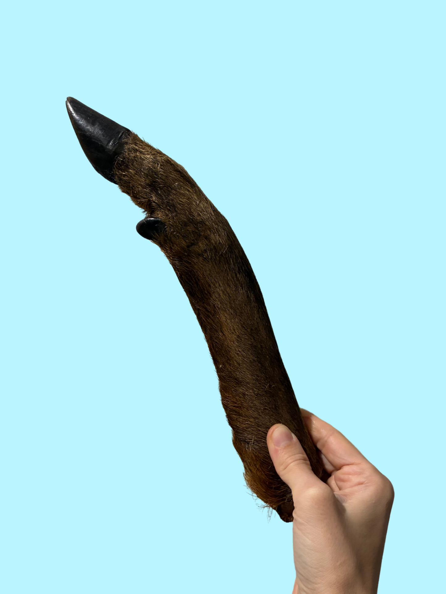 FURRY VENISON TROTTER