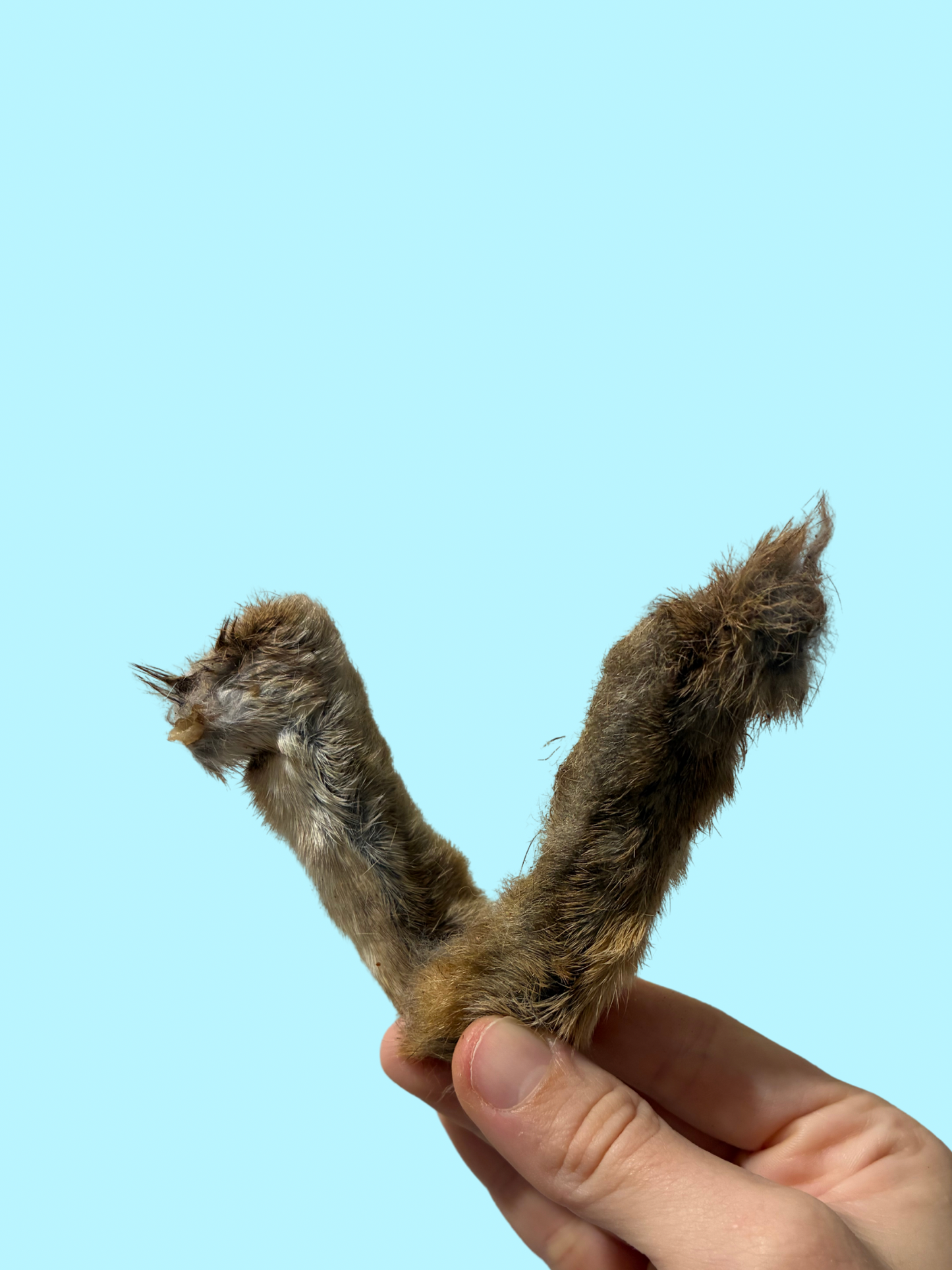 FURRY RABBIT FEET