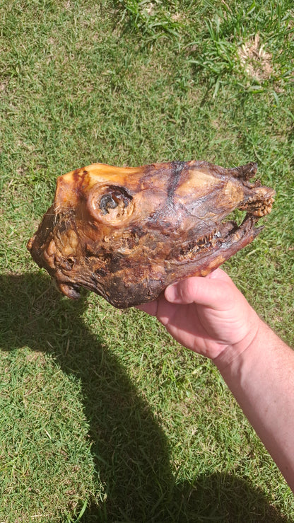 HALF GOAT HEAD