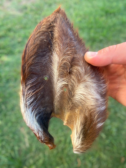 FURRY COW EAR