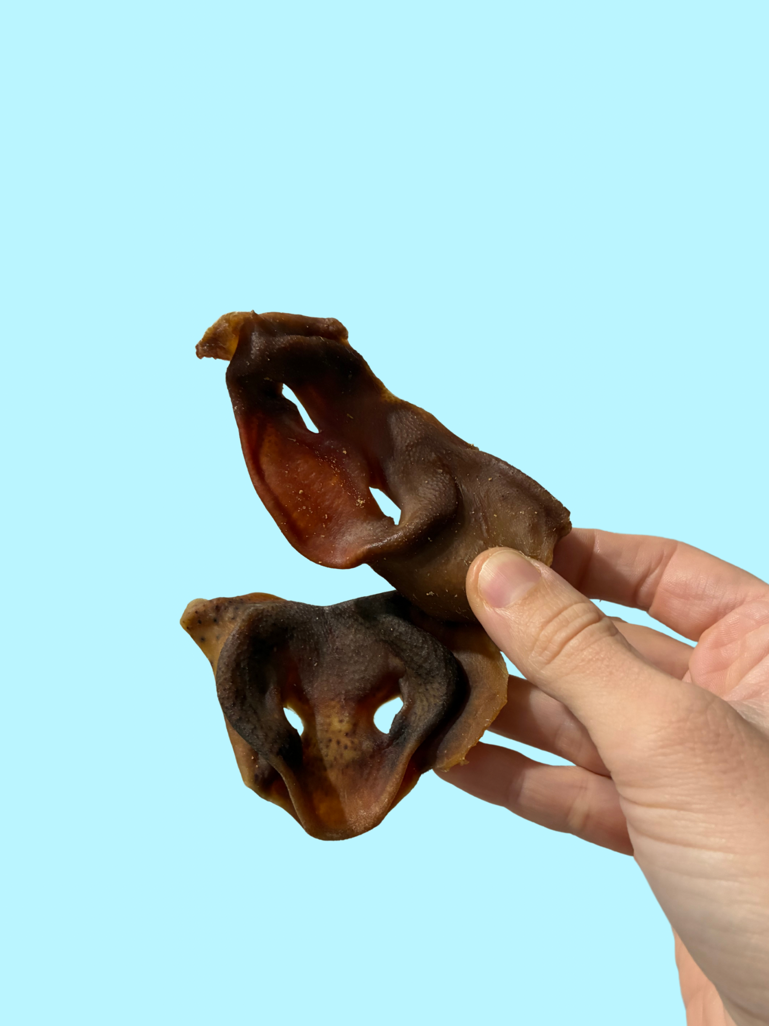 PIG SNOUTS