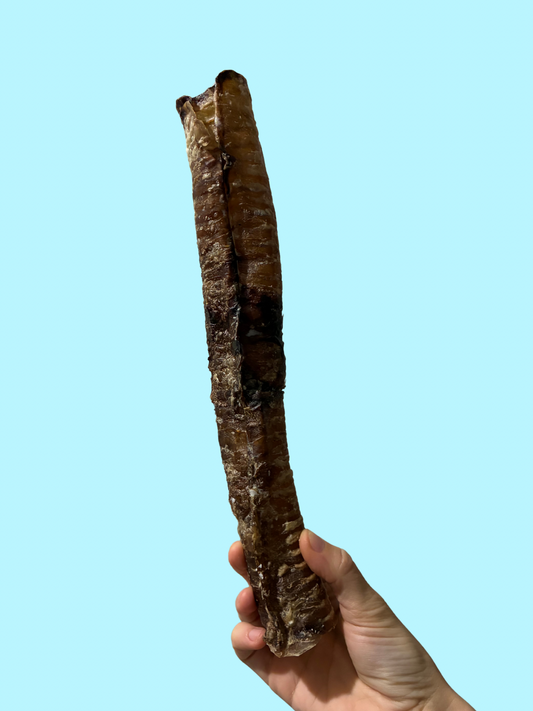 BIG BOY BEEF TRACHEA